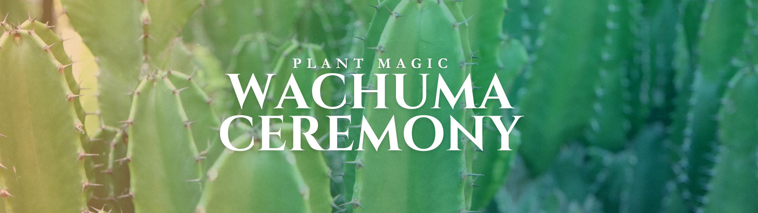 Wachuma Wisdom - September 6