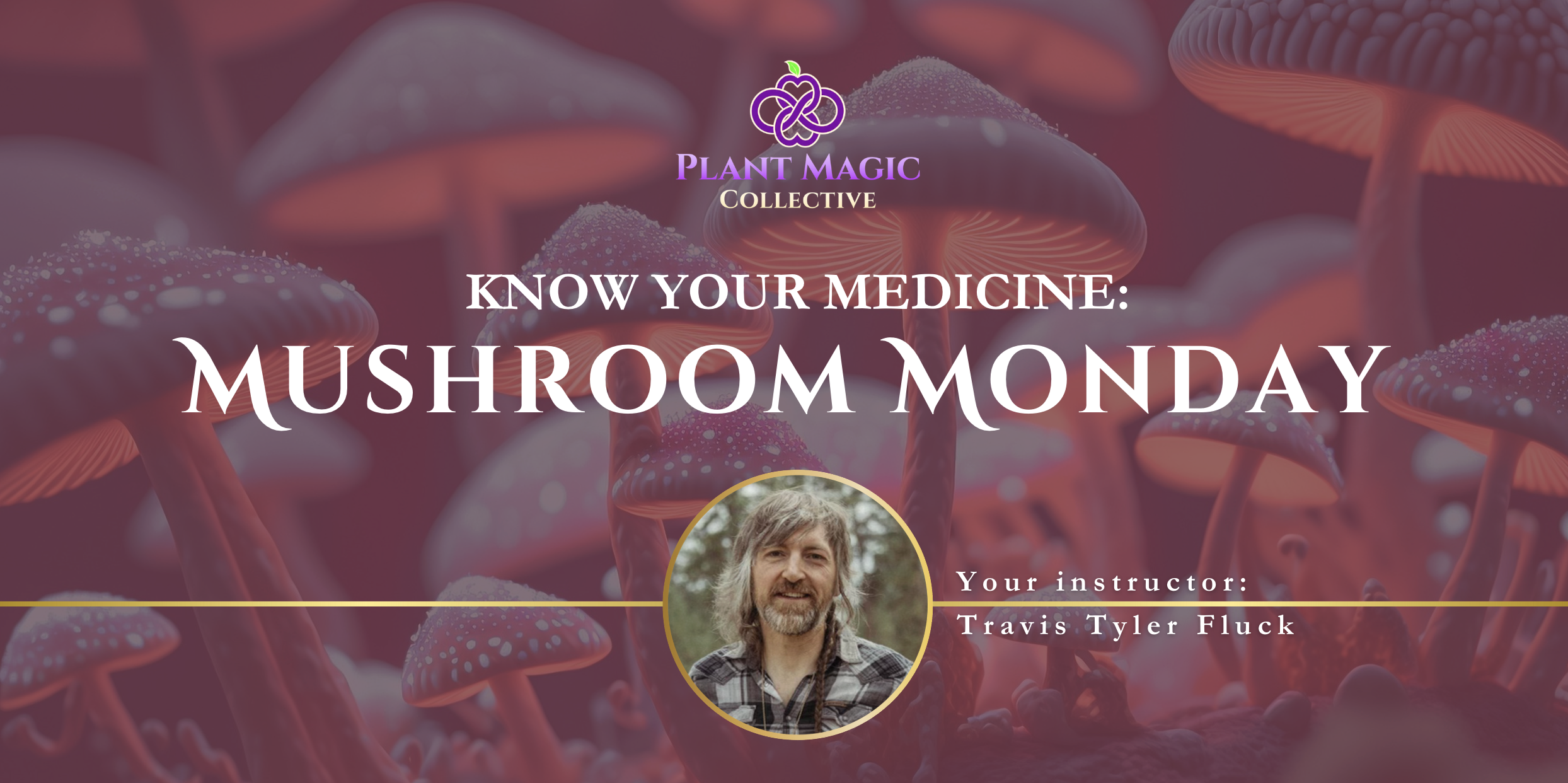 Know Your Medicine: Mushroom Monday