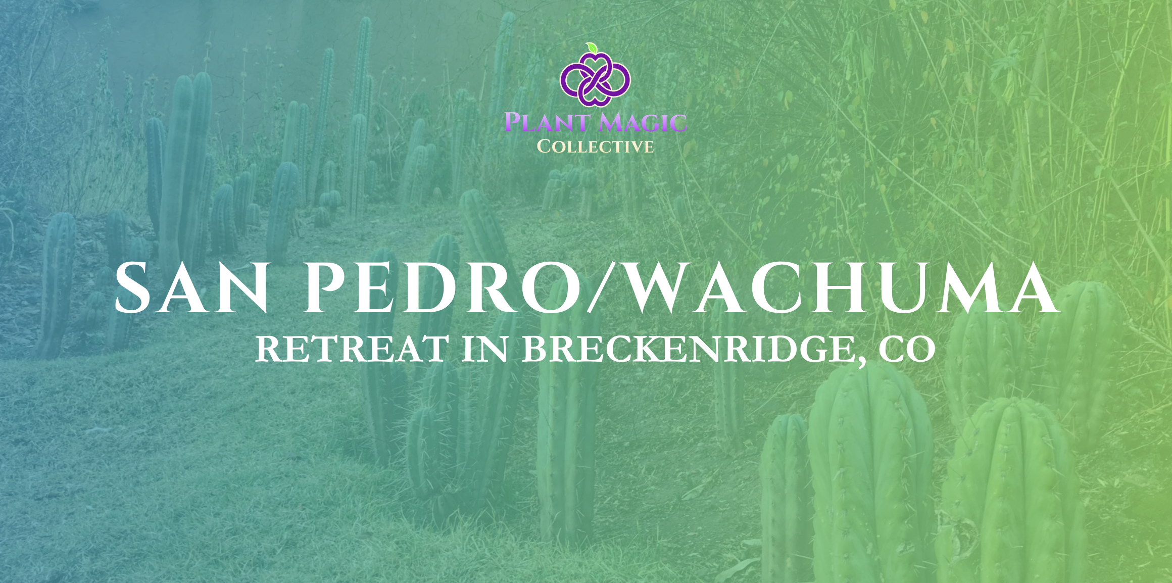 San Pedro/Wachuma Retreat **SOLD OUT**
