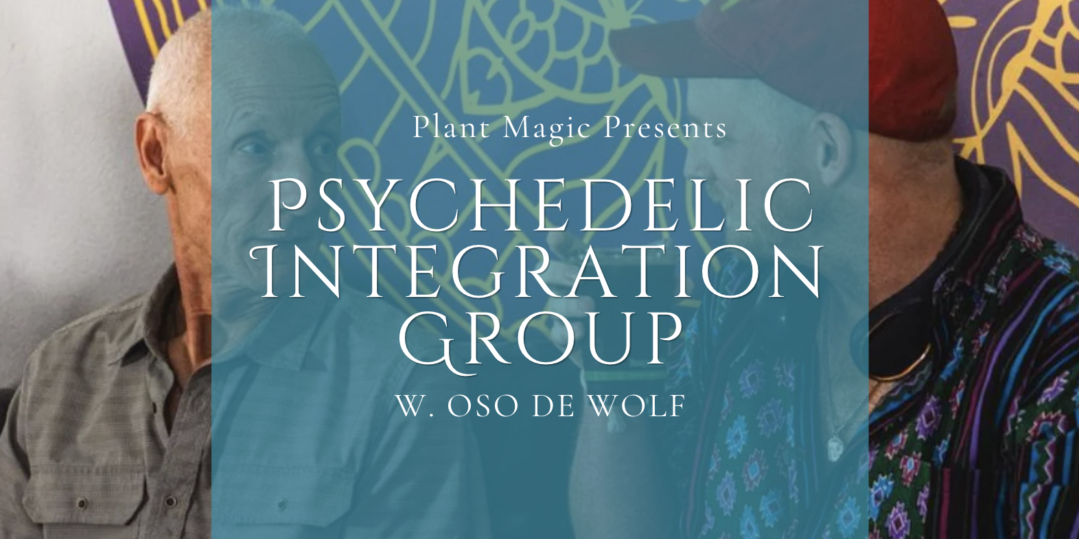 Psychedelic Integration Group