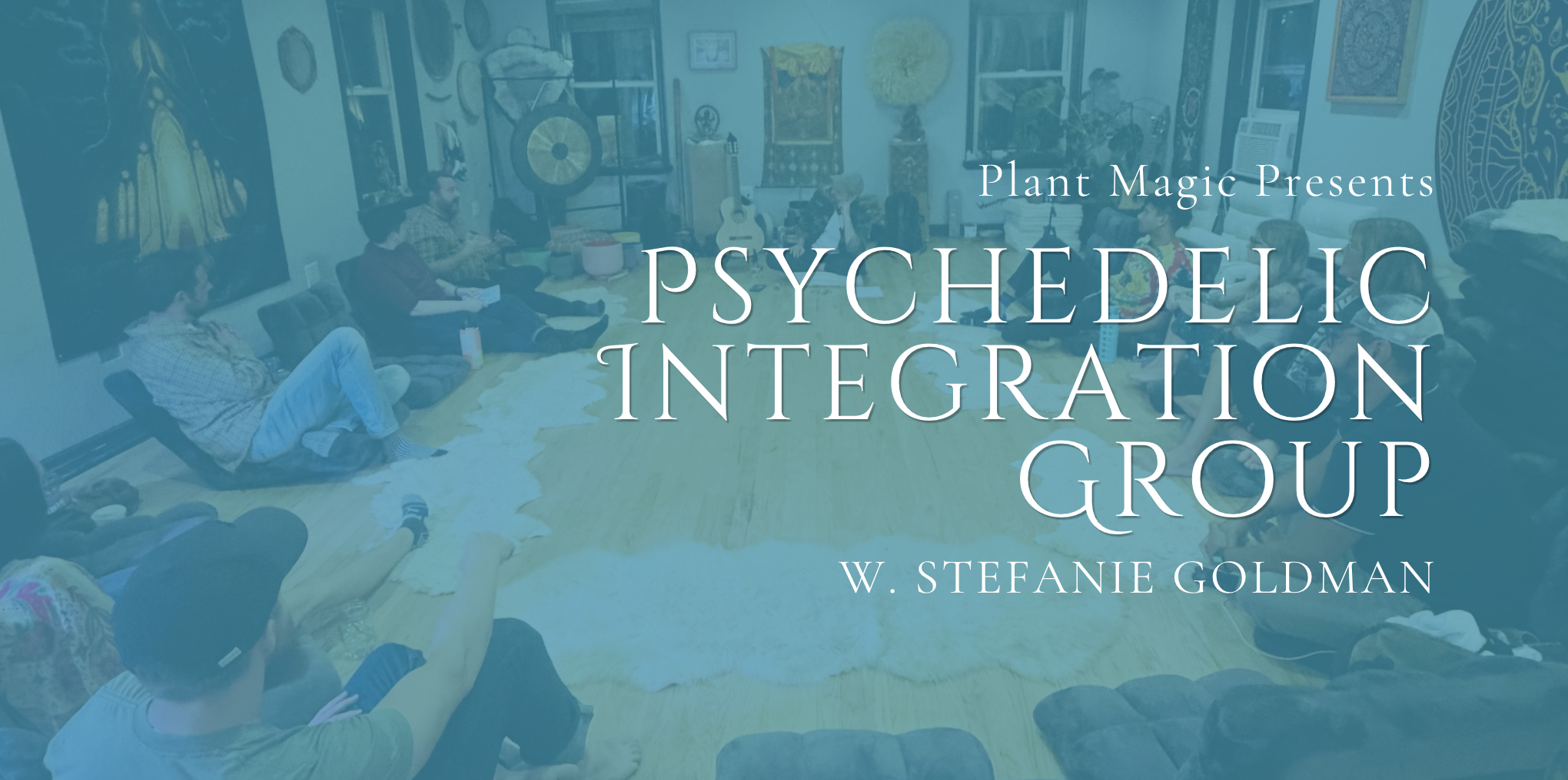 Psychedelic Integration Group