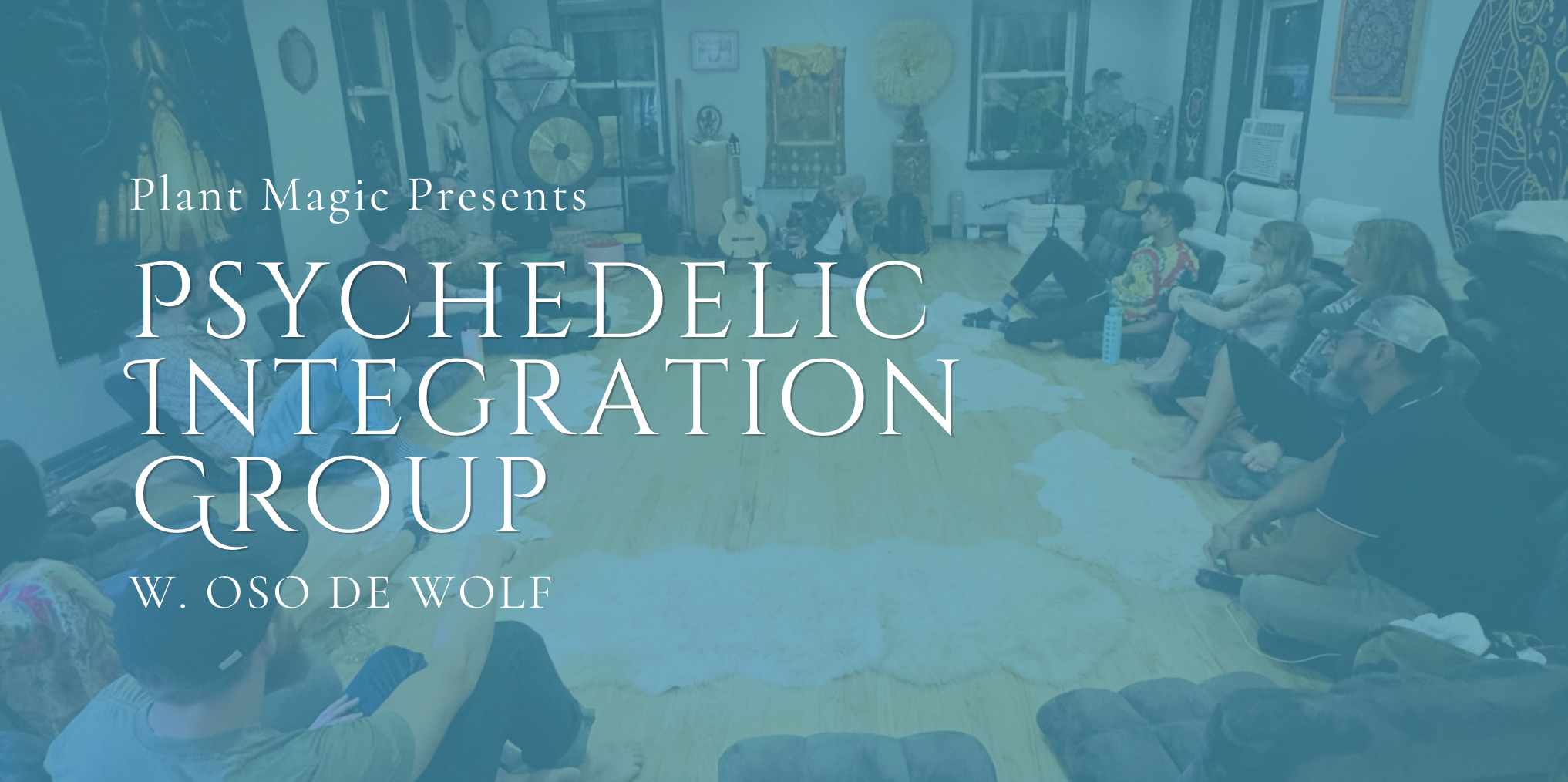 Psychedelic Integration Group